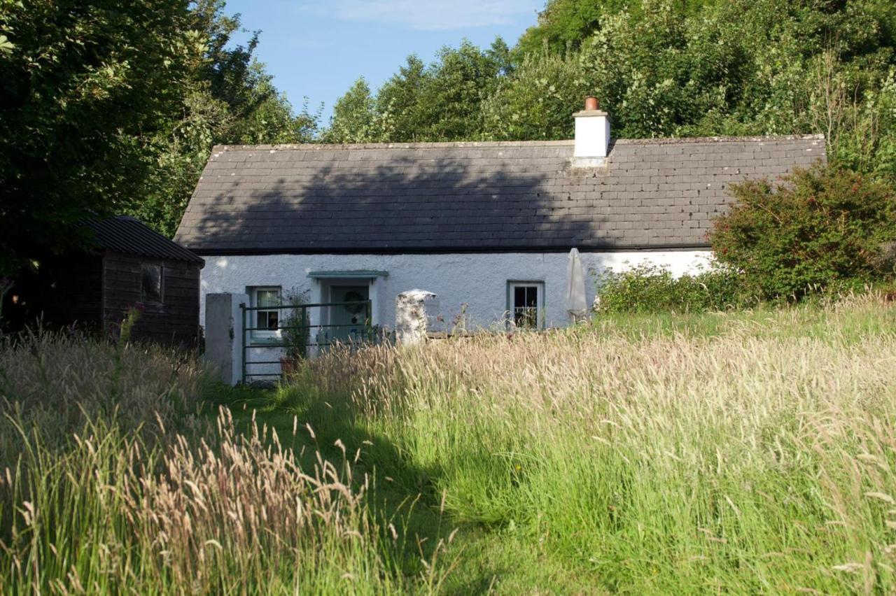 Clover Cottage Слайго Экстерьер фото